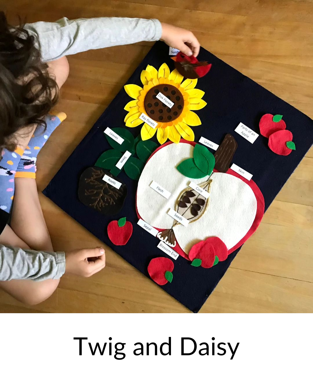 Twig and Daisy